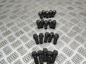 Nuts/bolts