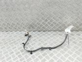 Negative earth cable (battery)