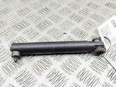 Tailgate/trunk strut/damper