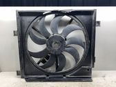 Electric radiator cooling fan