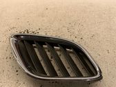 Front grill