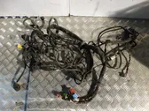 Otros cableados