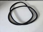 Front door rubber seal