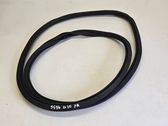 Front door rubber seal