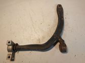 Front lower control arm/wishbone