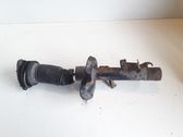 Front shock absorber/damper