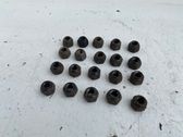 Nuts/bolts