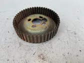 Fuel pump gear (pulley)