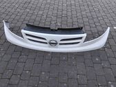 Front bumper upper radiator grill