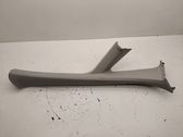 (A) pillar trim