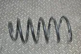 Front coil spring