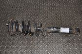 Rear shock absorber/damper