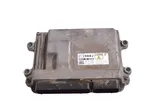 Calculateur moteur ECU