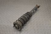 Front shock absorber/damper