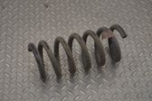 Rear coil spring