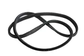 Trunk rubber seal (body)