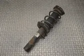 Front shock absorber/damper