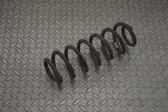 Rear coil spring