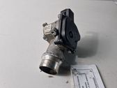 Throttle body valve