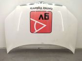 Capó/tapa del motor
