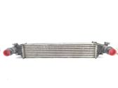 Intercooler radiator