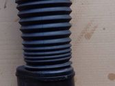 Rear shock absorber with coil spring