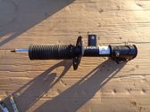 Amortiguador delantero con muelle espiral
