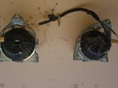 Engine mount vacuum valve