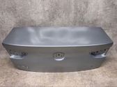 Tailgate/trunk/boot lid