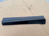 Front door trim (molding)