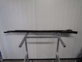 Front sill (body part)