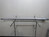 Front sill (body part)