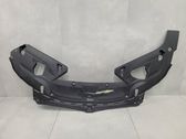Engine bonnet/hood lock trim molding