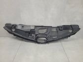 Moldura embellecedora del gancho del capó/tapa del motor