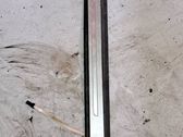 Rear sill trim cover