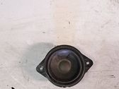 Panel speaker