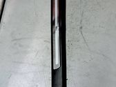 Front sill trim cover