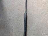 Tailgate/trunk strut/damper