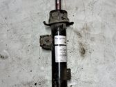 Front shock absorber/damper
