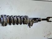 Front shock absorber/damper