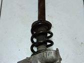 Front shock absorber with coil spring