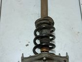 Front shock absorber with coil spring