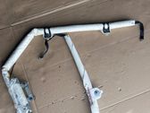 Roof airbag