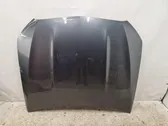 Engine bonnet/hood