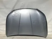 Engine bonnet/hood