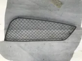 Front bumper lower grill