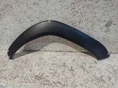 Fender trim (molding)