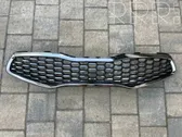 Front grill