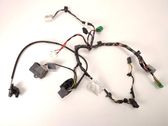 Other wiring loom
