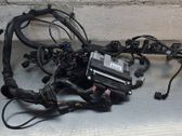Faisceau de câblage pour moteur